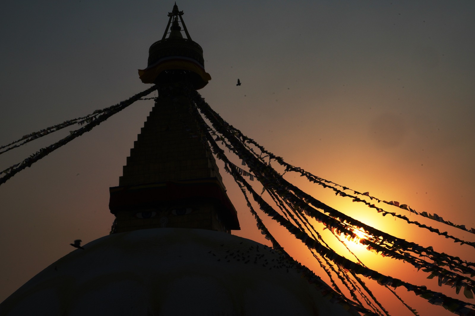 New Year message 2026