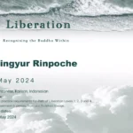 Path of Liberation Level 5: Recognizing the Buddha WithinWith Yongey Mingyur Rinpoche